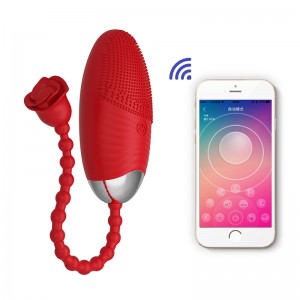 Smart Pelvic Floor Trainer Muscles Tightening Machine Balls for Women with App – Silicone Panties Vibrator Remote Control